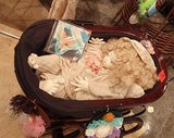 高野るり人形5